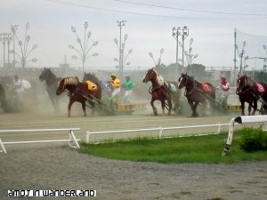 Banei Horse racing 2
