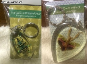 Insect_Keychains